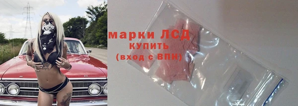 ПСИЛОЦИБИНОВЫЕ ГРИБЫ Алексин