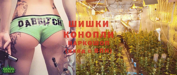 ПСИЛОЦИБИНОВЫЕ ГРИБЫ Алексин