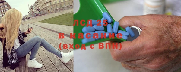 ПСИЛОЦИБИНОВЫЕ ГРИБЫ Алексин