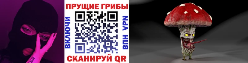 МЕГА сайт  Сасово  Галлюциногенные грибы Psilocybe 